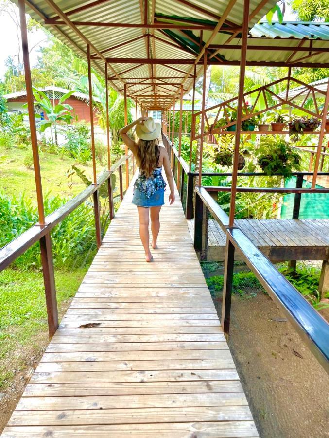 Pirate Cove Hotel Drake Bay Luaran gambar