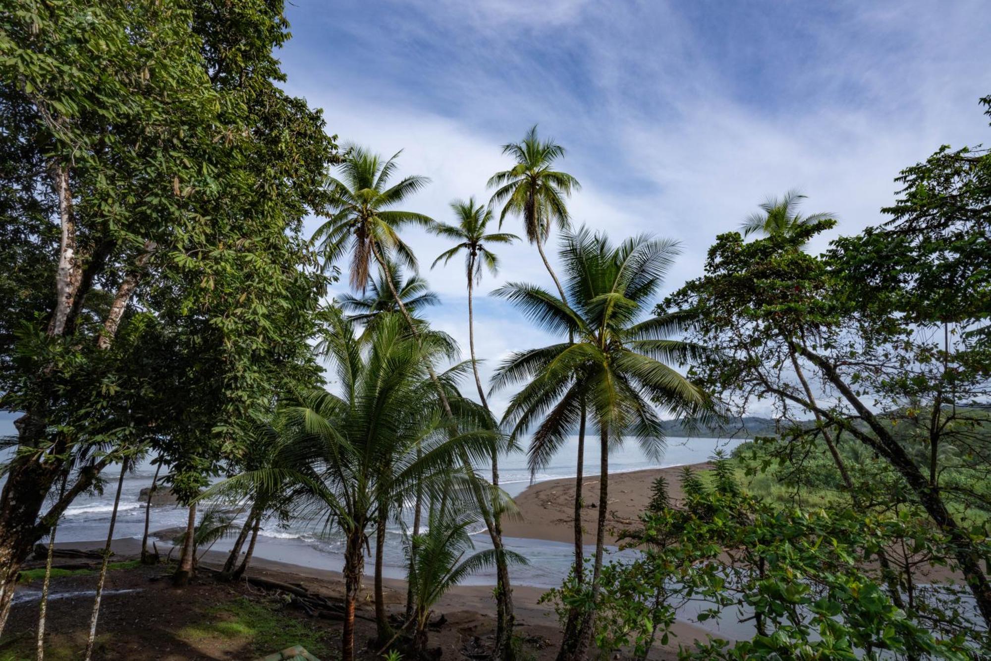 Pirate Cove Hotel Drake Bay Luaran gambar