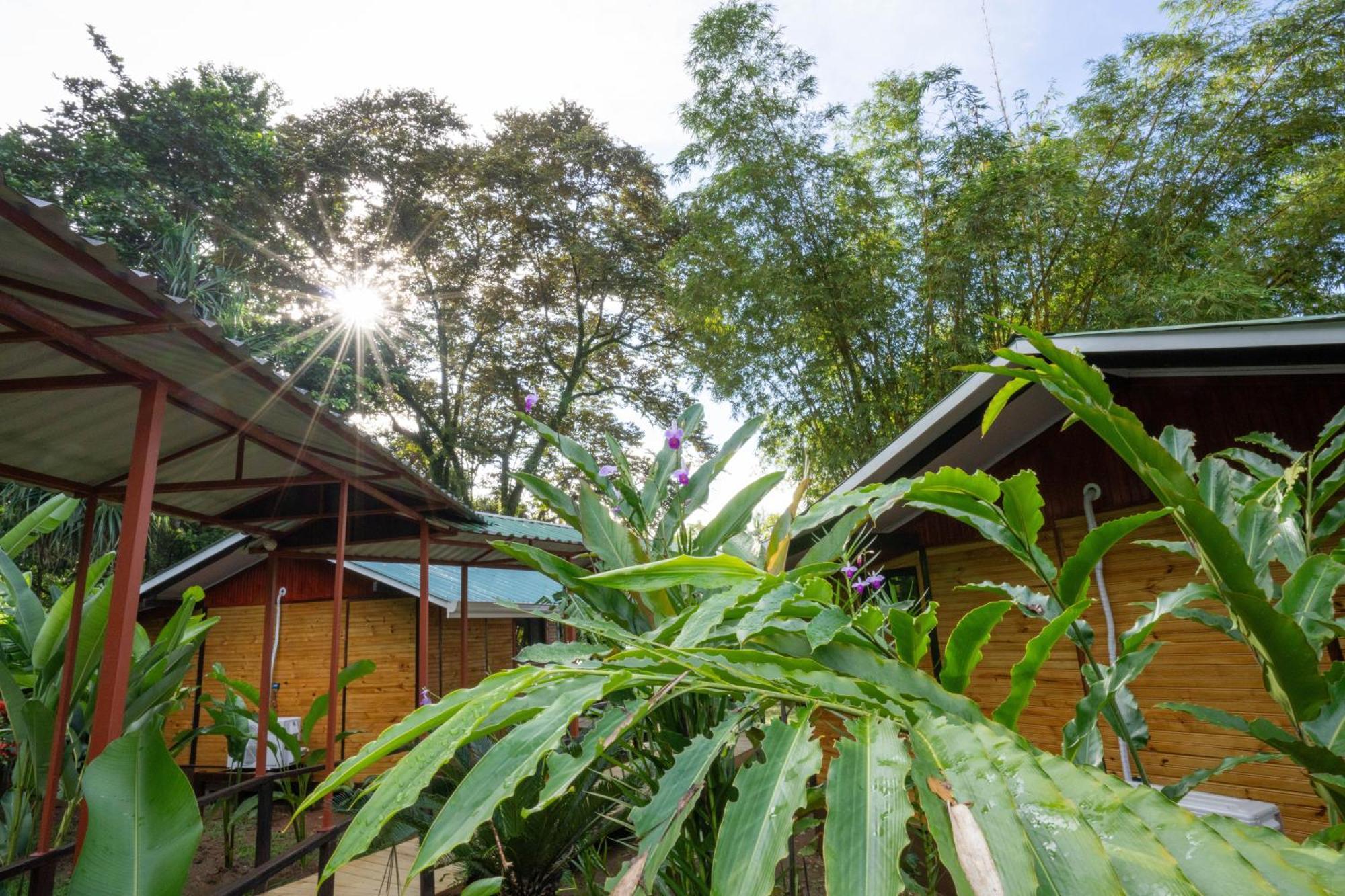 Pirate Cove Hotel Drake Bay Luaran gambar