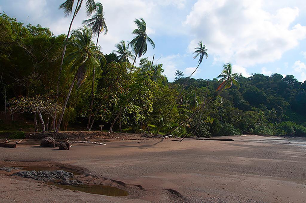 Pirate Cove Hotel Drake Bay Luaran gambar