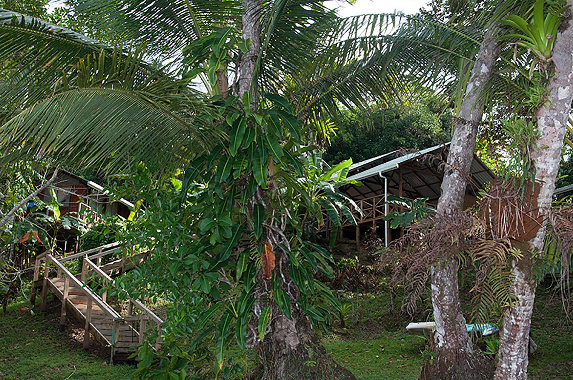 Pirate Cove Hotel Drake Bay Luaran gambar