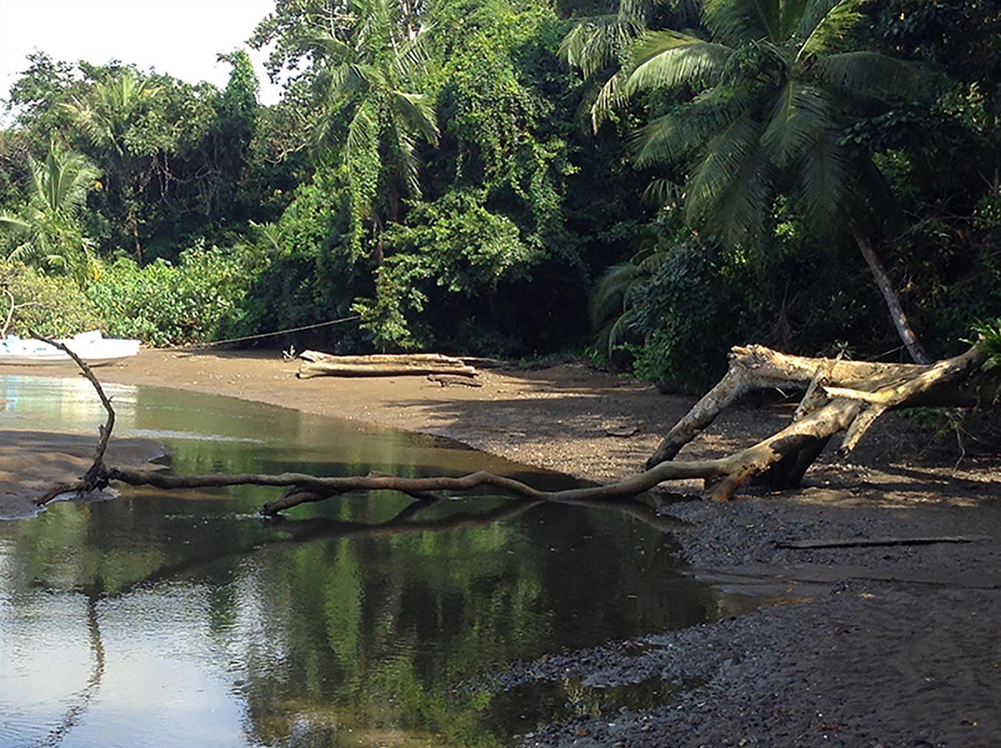 Pirate Cove Hotel Drake Bay Luaran gambar